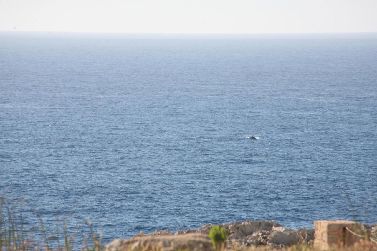 Villa Victor - Primera Linea Mar, Vista A Puesta De Sol Cala'N Blanes  ภายนอก รูปภาพ